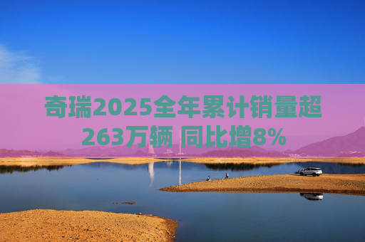 奇瑞2025全年累计销量超263万辆 同比增8%