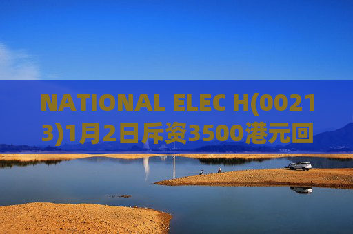 NATIONAL ELEC H(00213)1月2日斥资3500港元回购1万股