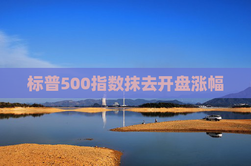 标普500指数抹去开盘涨幅  第1张