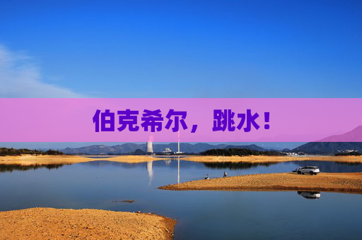 伯克希尔,跳水! 第1张 伯克希尔,跳水! 第1张