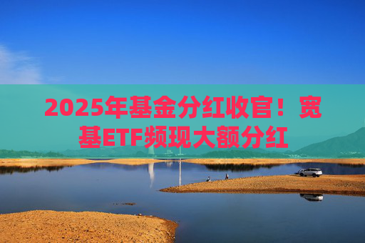 2025年基金分红收官！宽基ETF频现大额分红