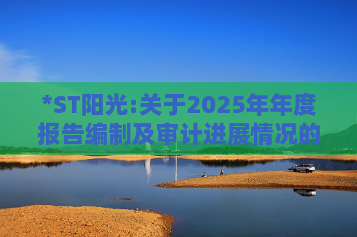 *ST阳光:关于2025年年度报告编制及审计进展情况的公告