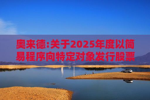 奥来德:关于2025年度以简易程序向特定对象发行股票预案修订说明的公告
