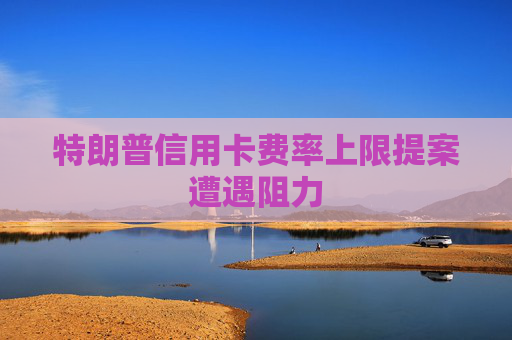 特朗普信用卡费率上限提案遭遇阻力  第1张