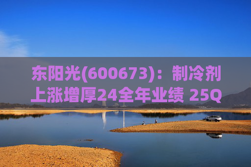 东阳光(600673)：制冷剂上涨增厚24全年业绩 25Q1业绩略超预期 液冷与具身智能共创未来