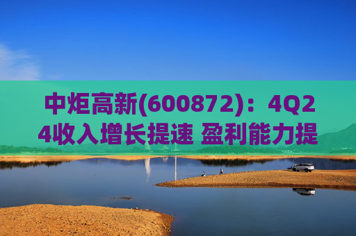 中炬高新(600872)：4Q24收入增长提速 盈利能力提升