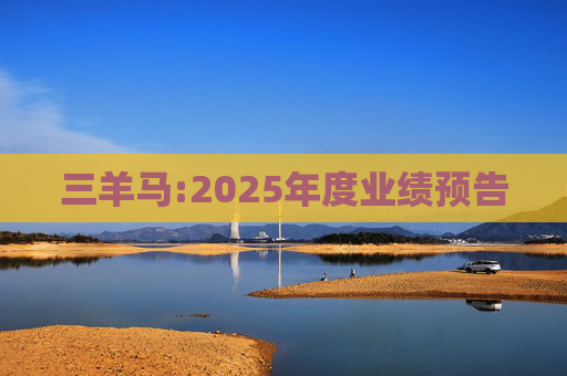 三羊马:2025年度业绩预告