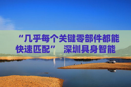 “几乎每个关键零部件都能快速匹配”  深圳具身智能生态先行一步
