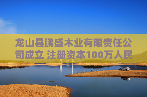 龙山县鹏盛木业有限责任公司成立 注册资本100万人民币
