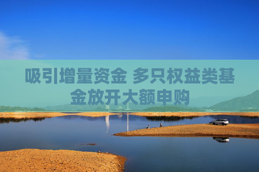 吸引增量资金 多只权益类基金放开大额申购