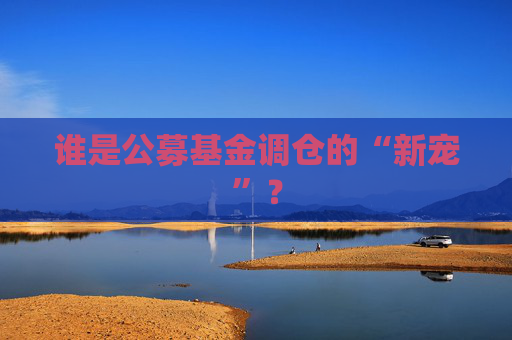 谁是公募基金调仓的“新宠”？