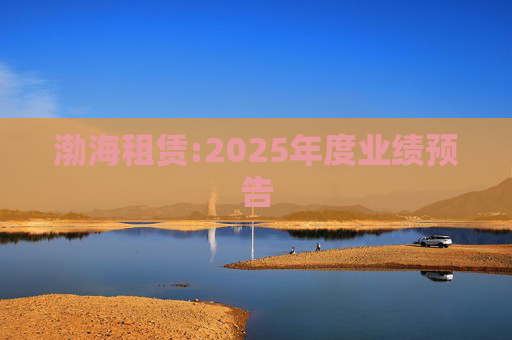 渤海租赁:2025年度业绩预告