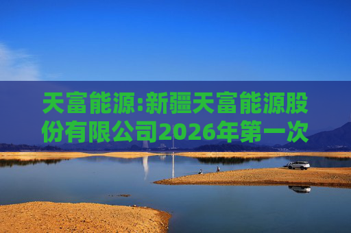 天富能源:新疆天富能源股份有限公司2026年第一次临时股东会决议公告