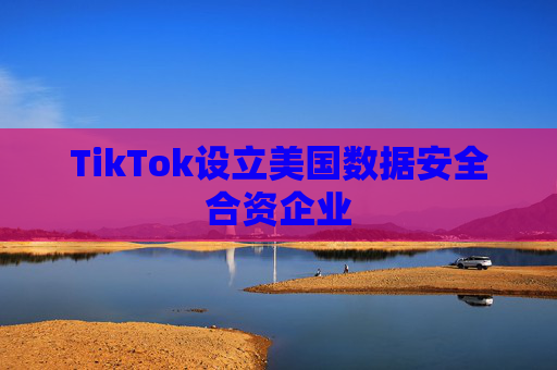 TikTok设立美国数据安全合资企业