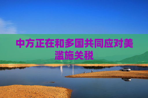 中方正在和多国共同应对美滥施关税