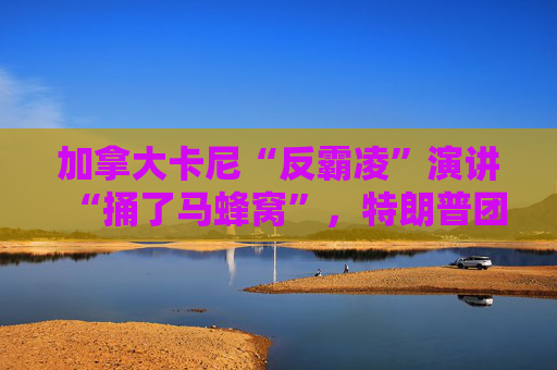 加拿大卡尼“反霸凌”演讲“捅了马蜂窝”，特朗普团队“勃然大怒”