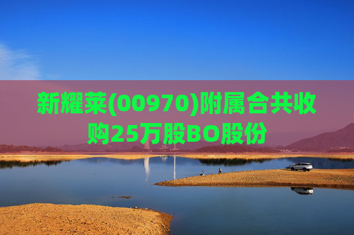 新耀莱(00970)附属合共收购25万股BO股份
