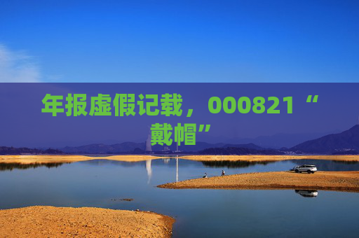 年报虚假记载，000821“戴帽”