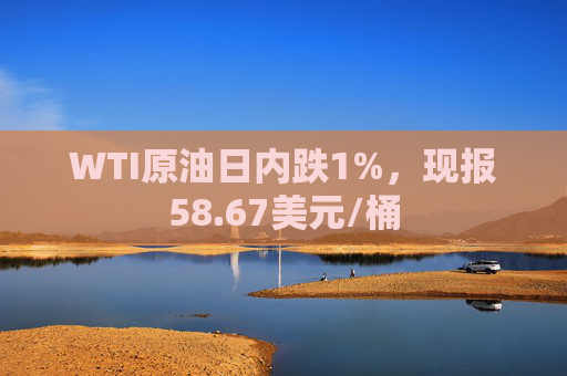 WTI原油日内跌1%，现报58.67美元/桶