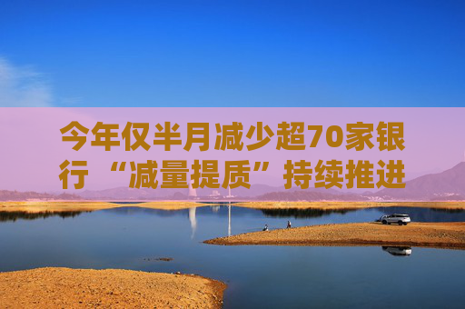 今年仅半月减少超70家银行 “减量提质”持续推进