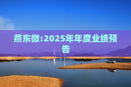 燕东微:2025年年度业绩预告  第1张