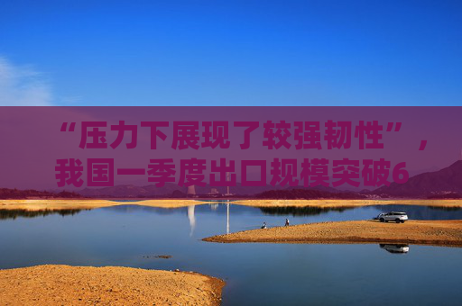 “压力下展现了较强韧性”，我国一季度出口规模突破6万亿元