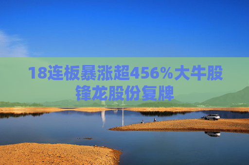 18连板暴涨超456%大牛股锋龙股份复牌
