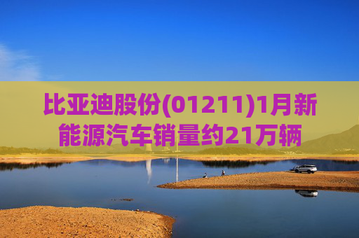 比亚迪股份(01211)1月新能源汽车销量约21万辆
