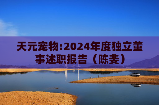 天元宠物:2024年度独立董事述职报告（陈斐）