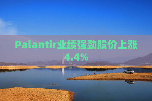 Palantir业绩强劲股价上涨4.4%