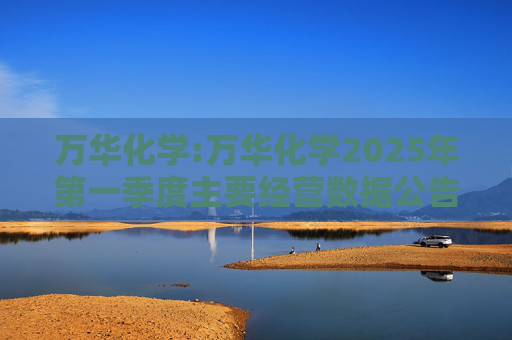 万华化学:万华化学2025年第一季度主要经营数据公告
