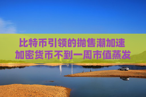 比特币引领的抛售潮加速 加密货币不到一周市值蒸发近5000亿美元