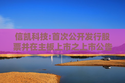 信凯科技:首次公开发行股票并在主板上市之上市公告书提示性公告  第1张