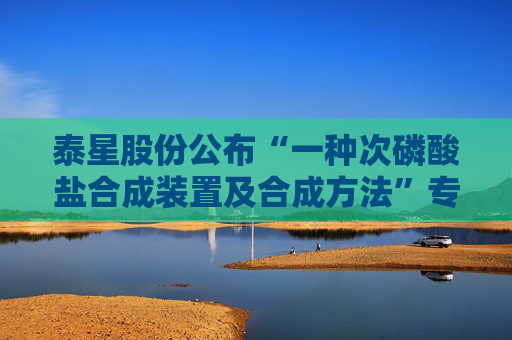 泰星股份公布“一种次磷酸盐合成装置及合成方法”专利