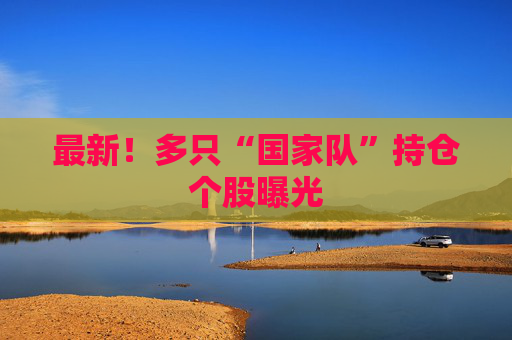 最新！多只“国家队”持仓个股曝光