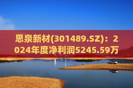 思泉新材(301489.SZ)：2024年度净利润5245.59万元 拟10转4派2.5元