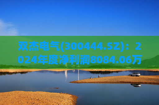 双杰电气(300444.SZ)：2024年度净利润8084.06万元 同比下降21.77%