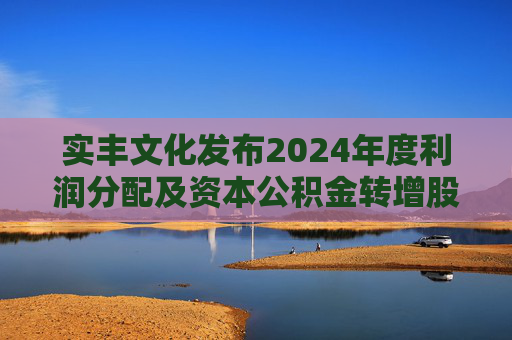 实丰文化发布2024年度利润分配及资本公积金转增股本预案