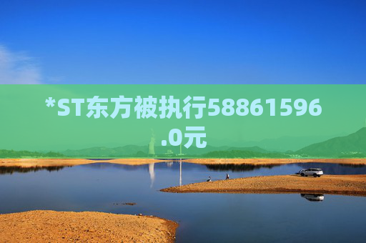*ST东方被执行58861596.0元