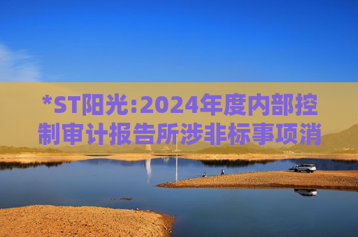 *ST阳光:2024年度内部控制审计报告所涉非标事项消除情况的专项说明