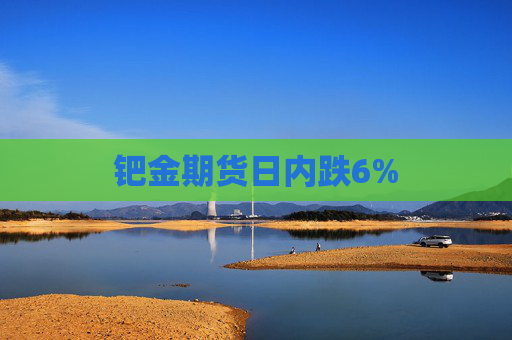 钯金期货日内跌6%