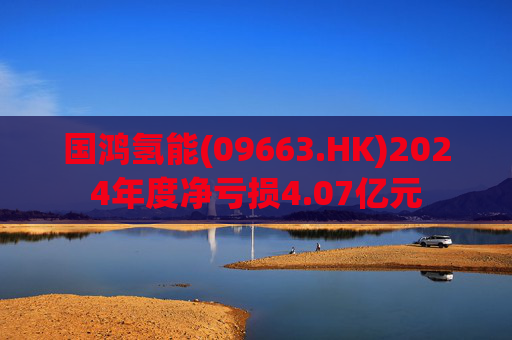 国鸿氢能(09663.HK)2024年度净亏损4.07亿元  第1张