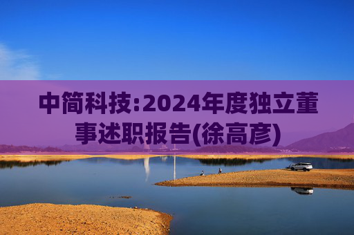 中简科技:2024年度独立董事述职报告(徐高彦)  第1张