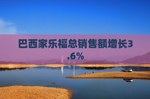 巴西家乐福总销售额增长3.6%  第1张