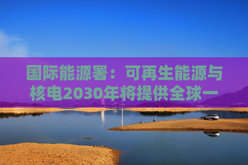 国际能源署：可再生能源与核电2030年将提供全球一半电力