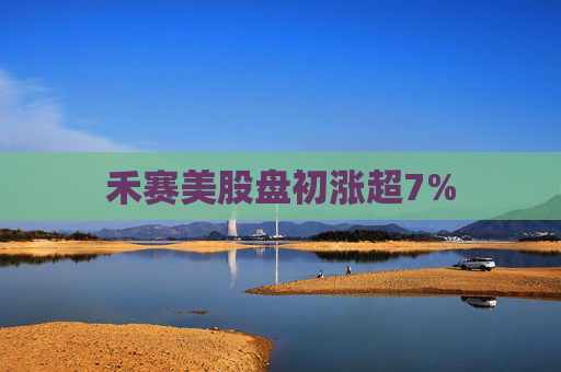 禾赛美股盘初涨超7%