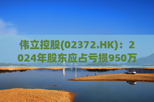 伟立控股(02372.HK)：2024年股东应占亏损950万元