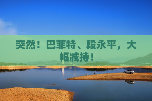 突然！巴菲特、段永平，大幅减持！