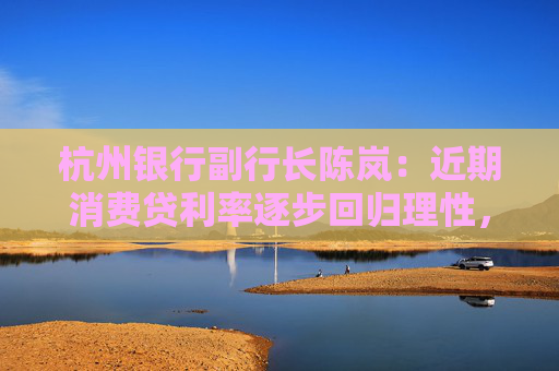 杭州银行副行长陈岚：近期消费贷利率逐步回归理性，有利于消费贷市场的长期稳健发展  第1张