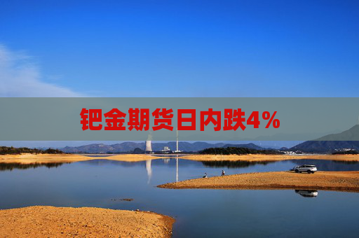 钯金期货日内跌4%